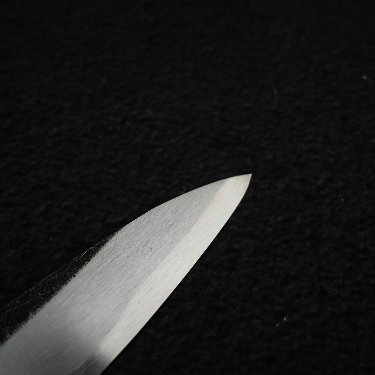 初心 x 明神利器制作所 白鷺 青二鋼 黒打ち 柳刃 240mm