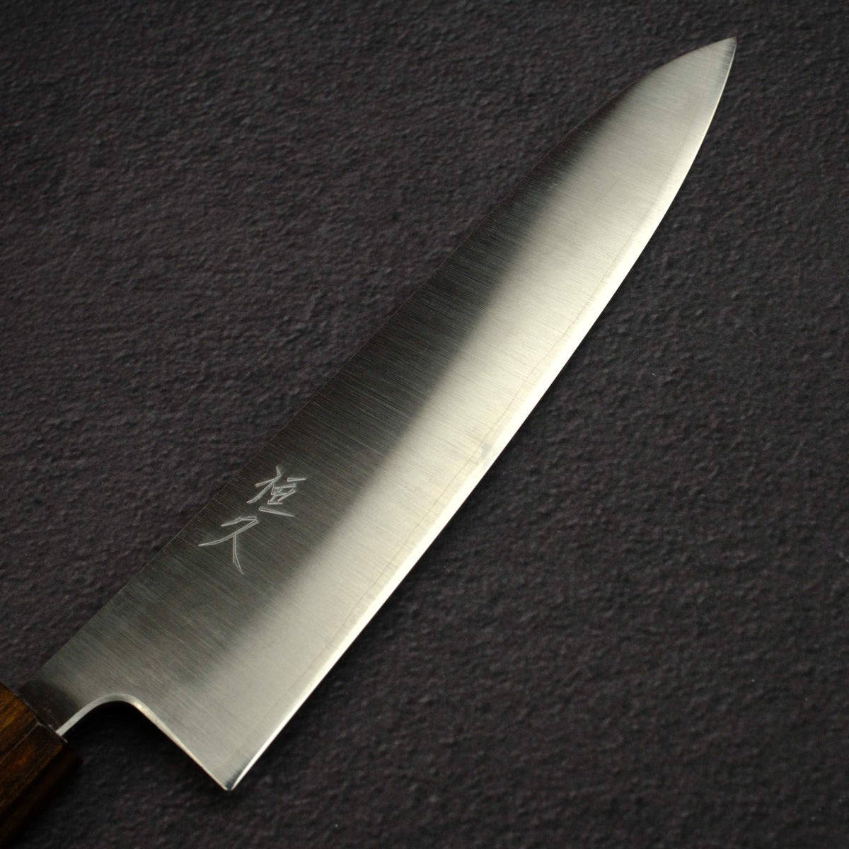 Tsunehisa Ginsan Migaki Gyuto 210mm, Black Chacate Handle