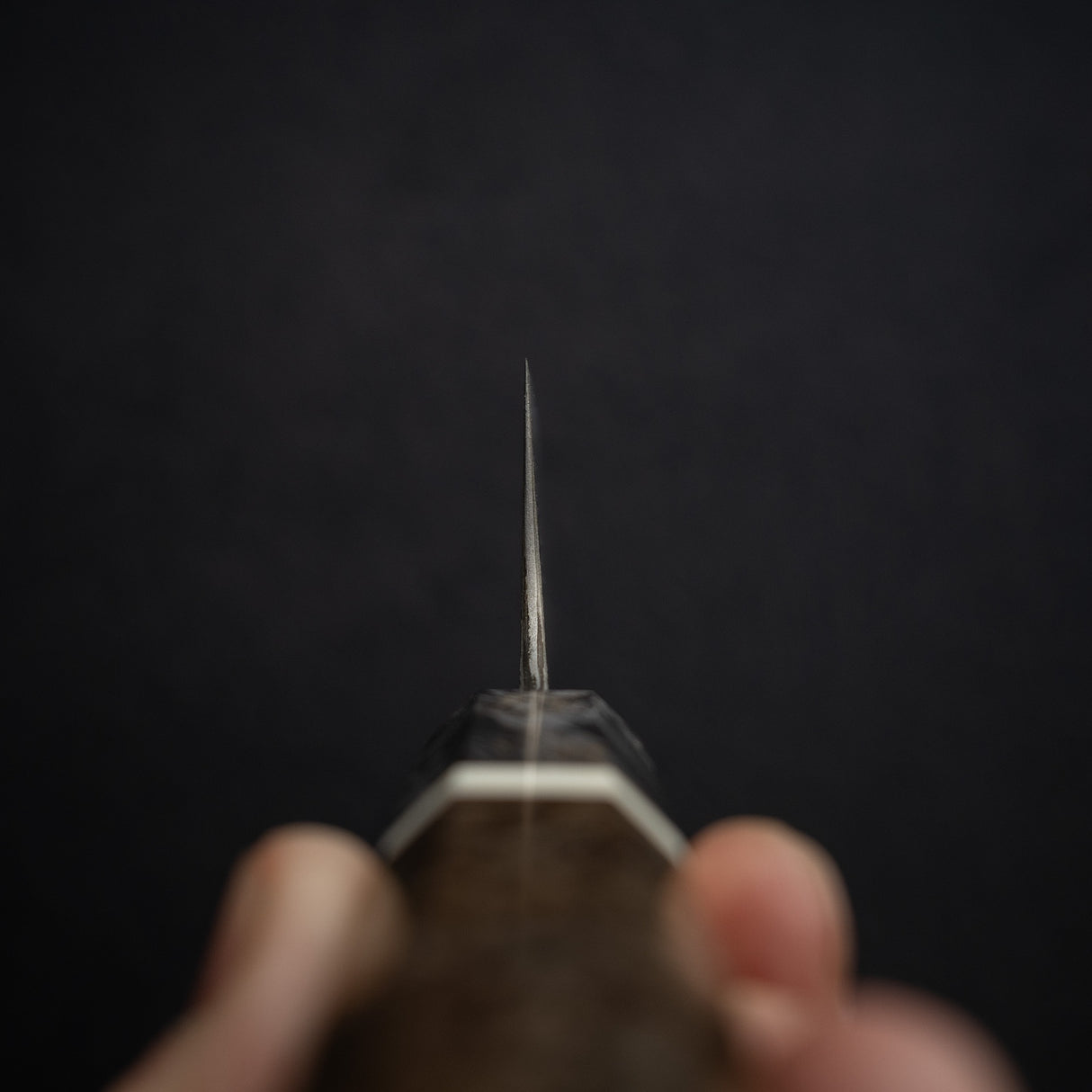 初心 x 二唐刃物鍛造所 SLD鋼 牛刀 210mm