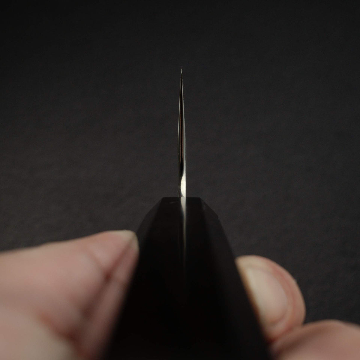 K&S Yuepo SLD Nashiji Gyuto 210mm, Ebony Handle