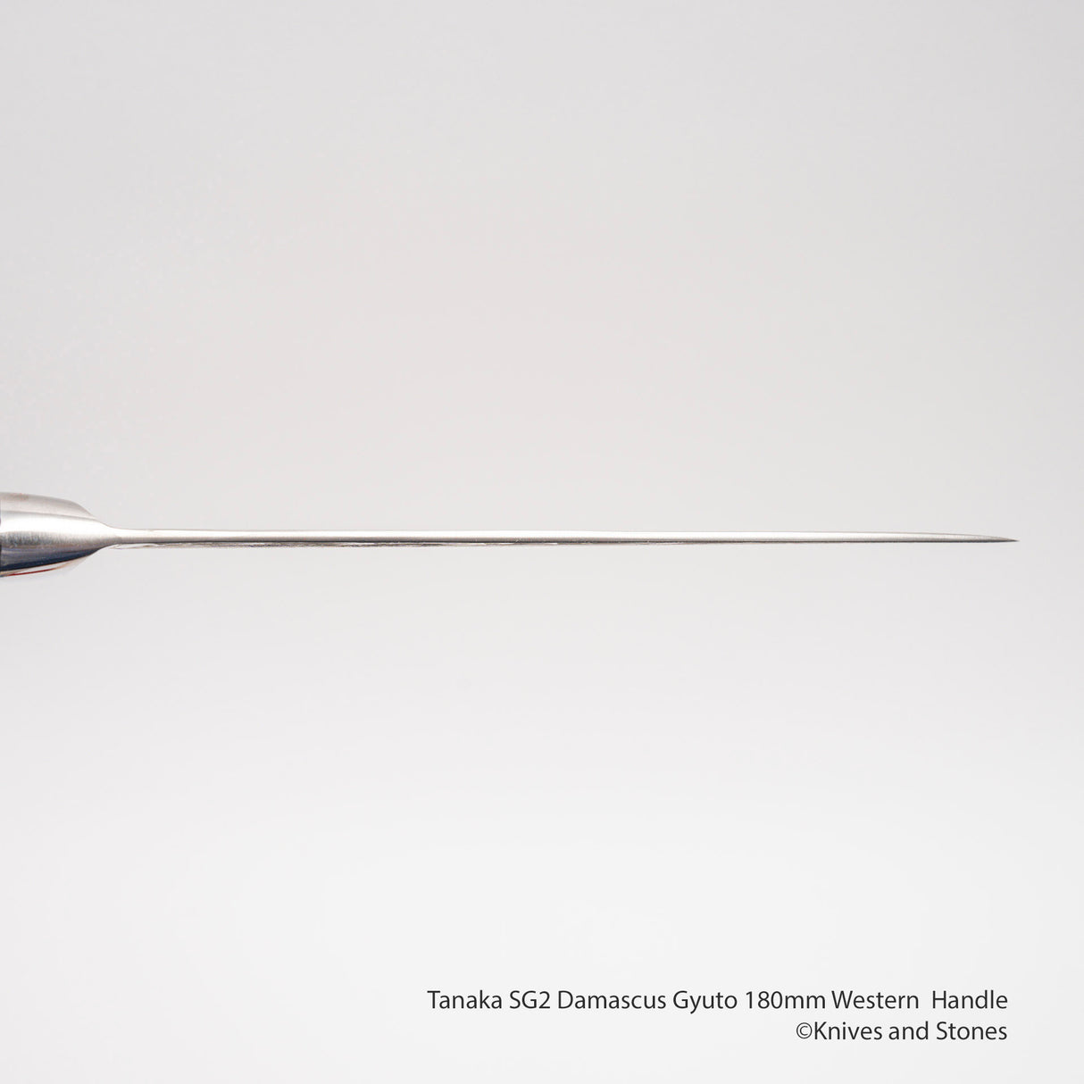 田中一之刃物製作所 SG2 ダマスカス 牛刀 180mm 洋柄