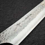 黒﨑打刃物 国産栄 AS 筋引 240mm ターコイズ口金