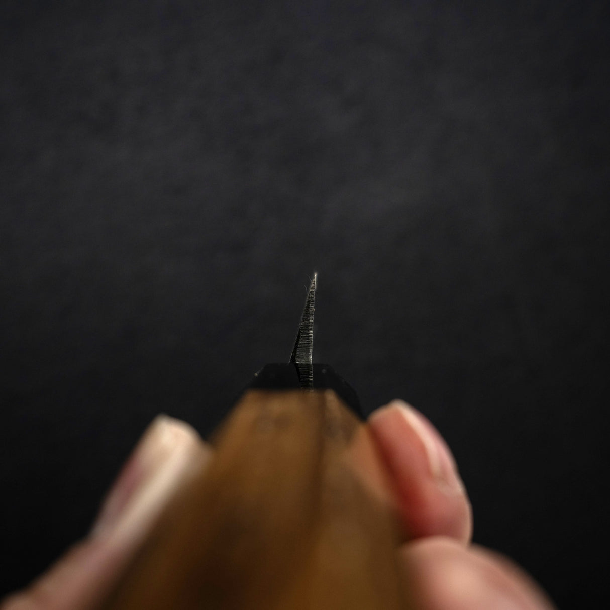 初心 x 明神利器制作所 白鷺 青二鋼 黒打ち 柳刃 240mm