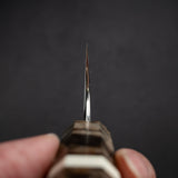 初心 銀河 ATS34 ダマスカス 牛刀 210mm