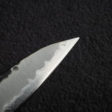 柴田 崇行 青紙スーパー 黒打ち 槌目 筋引 240mm