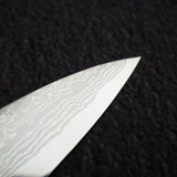 初心 x 弥氏 良寛 青二鋼 ダマスカス 柳刃 270mm