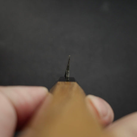 初心 x 明神利器制作所 白鷺 青二鋼 黒打ち 先丸柳刃 270mm
