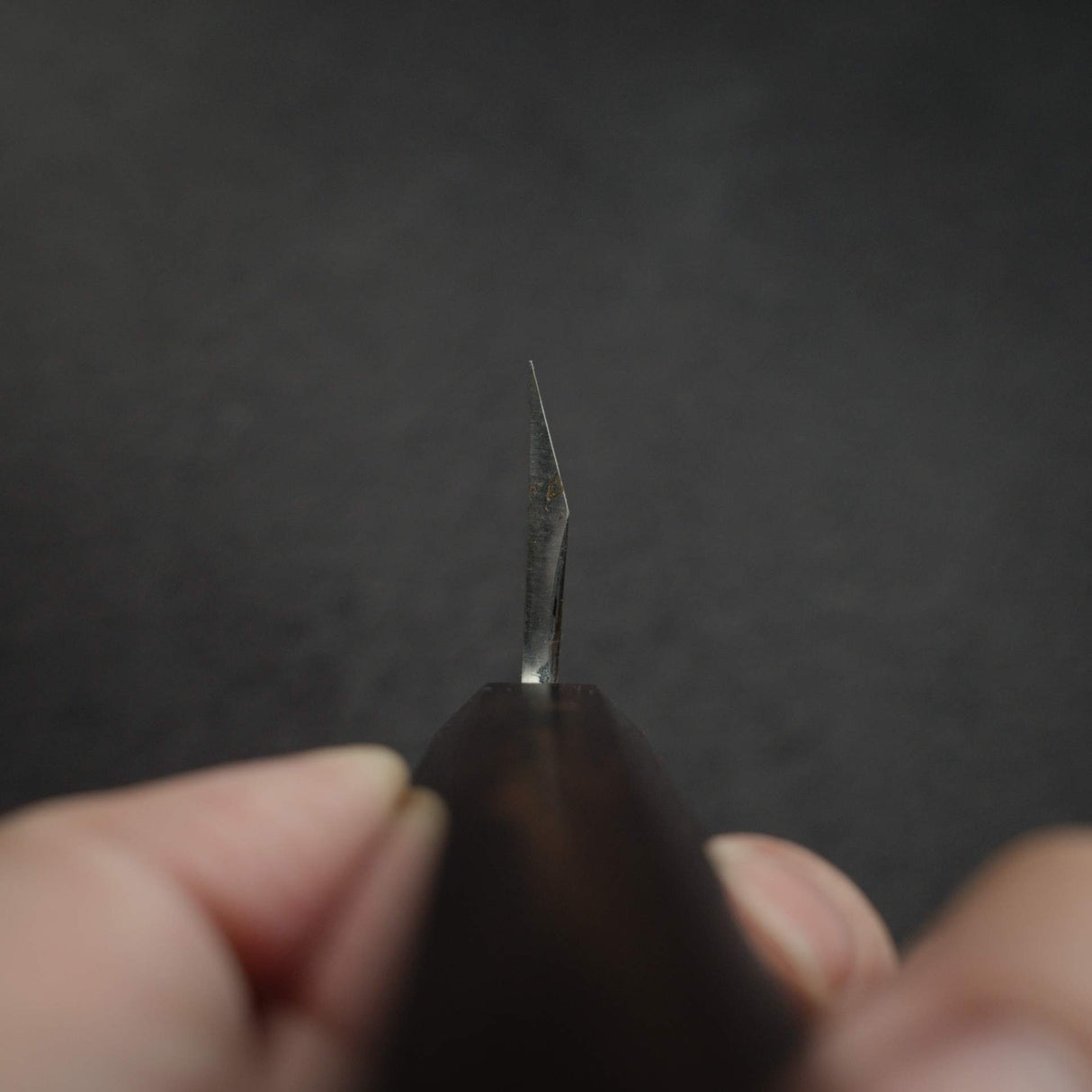初心 x 明神利器制作所 白鷺 白二鋼 身卸出刃 左利き用 210mm