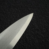 土佐鍛錬 SK材 柳刃 270mm