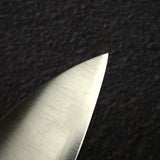 Tsunehisa Ginsan Migaki Gyuto 210mm, Black Chacate Handle