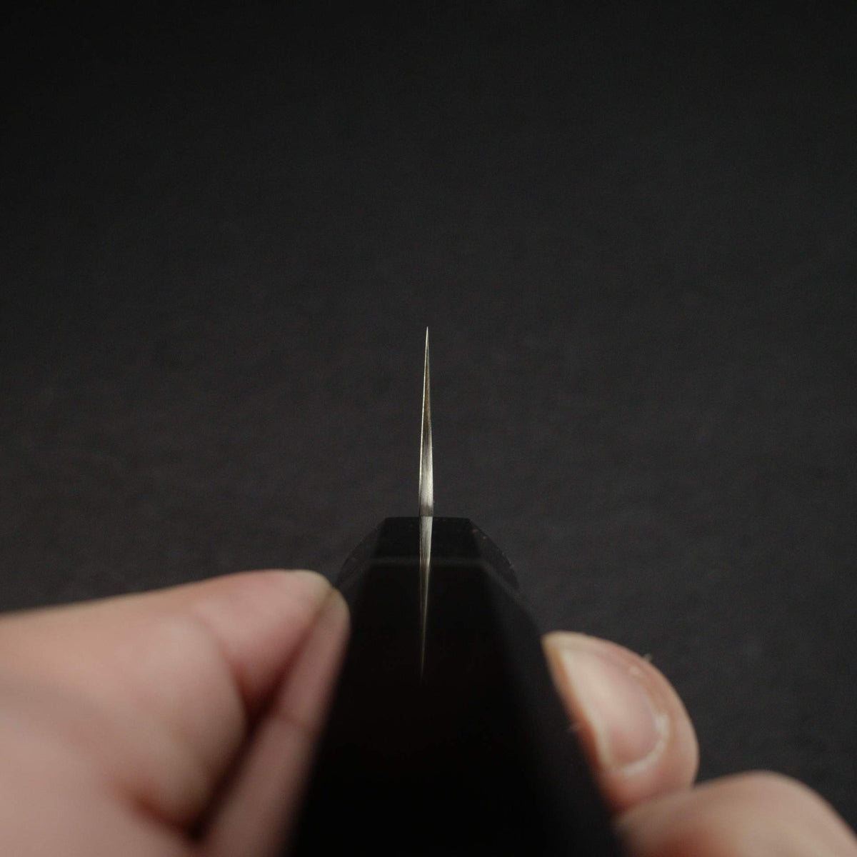 Sukenari SG2 Hairline K-tip Gyu-hiki 240mm, Ebony Handle with Spacer