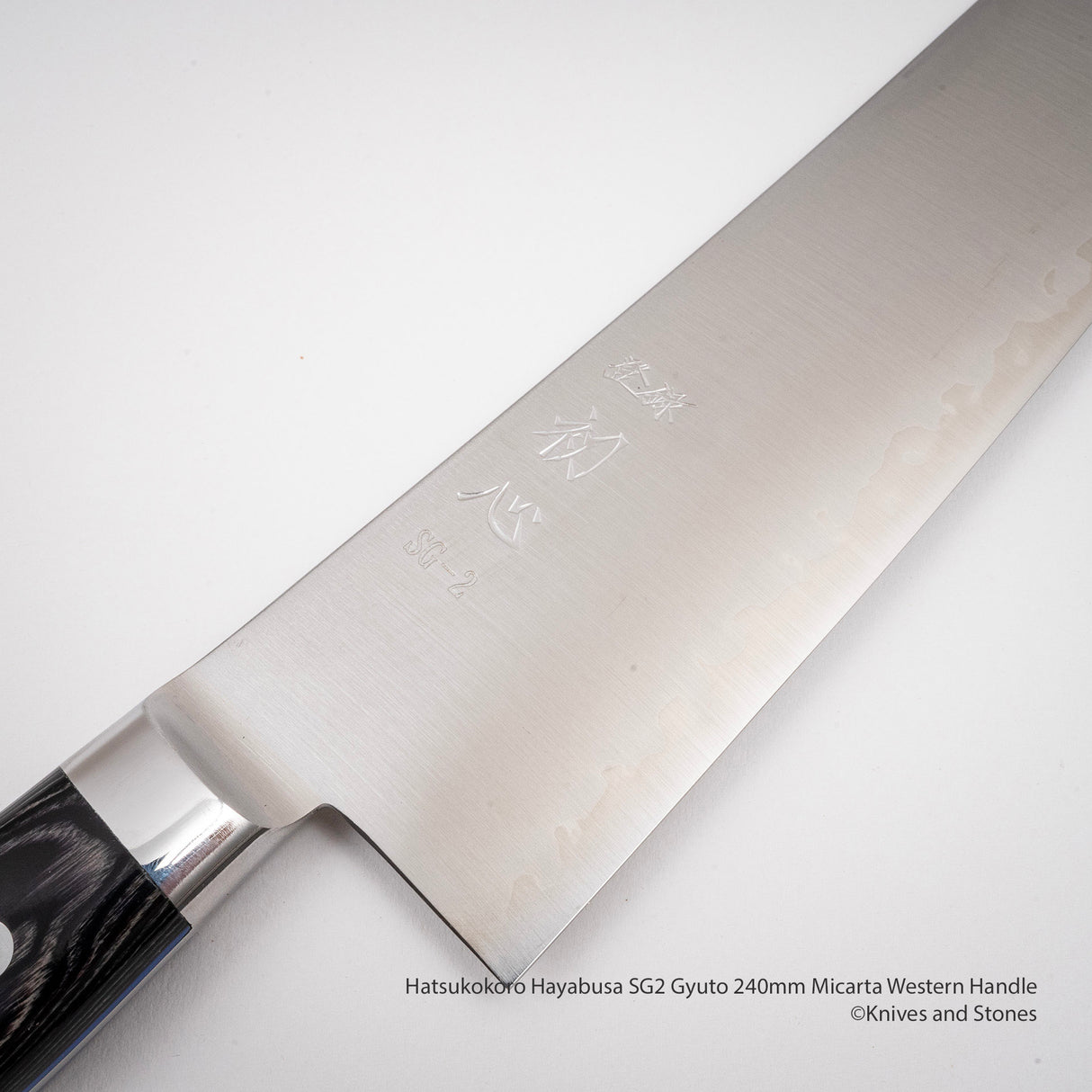 初心 隼 SG2 牛刀 240mm マイカルタ 洋柄