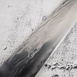 黒﨑打刃物 ササメ コバルトスペシャル鋼 筋引 240mm