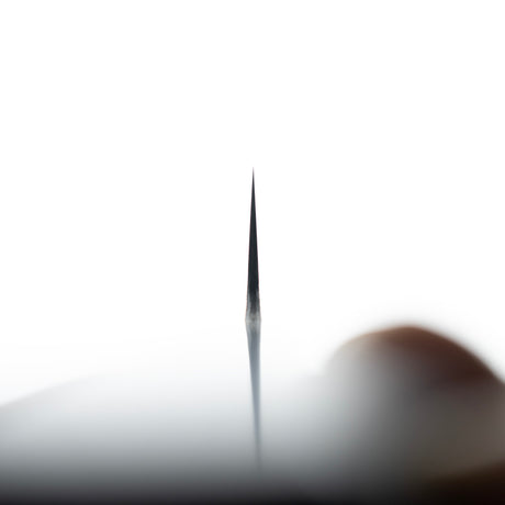 眞崎 直樹 白二鋼 黒打ち 牛刀 210mm