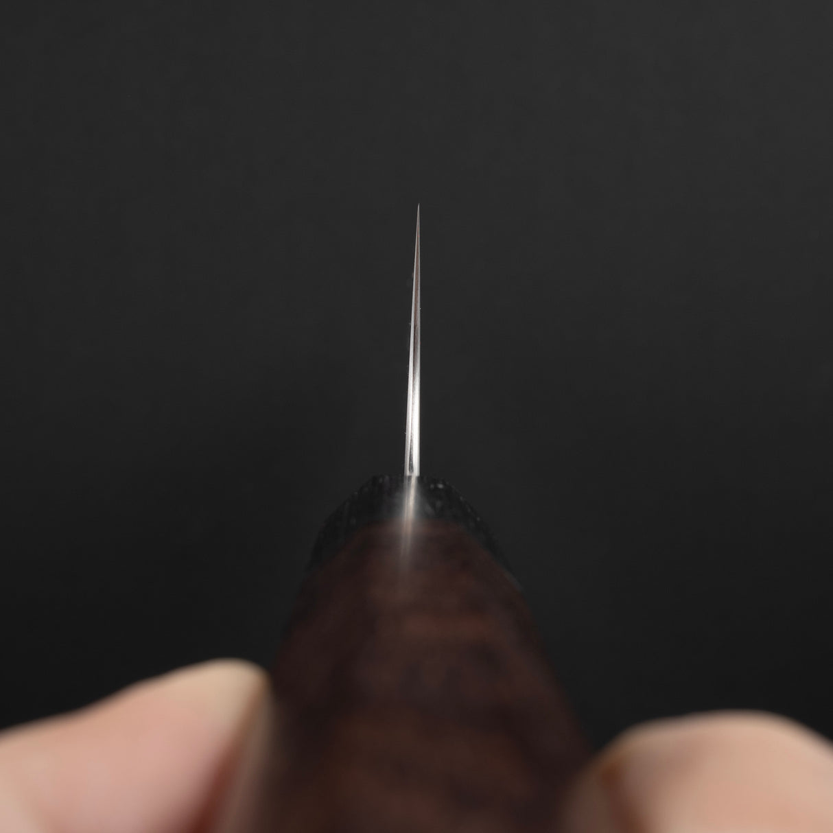 柴田 崇行 鋼鉄 SG2 切付牛刀 210mm