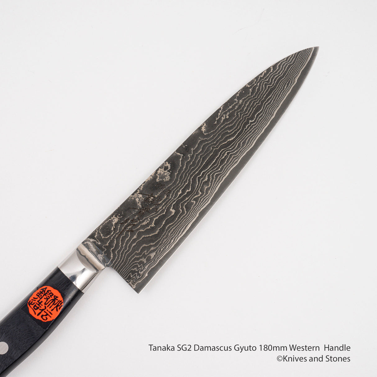 田中一之刃物製作所 SG2 ダマスカス 牛刀 180mm 洋柄