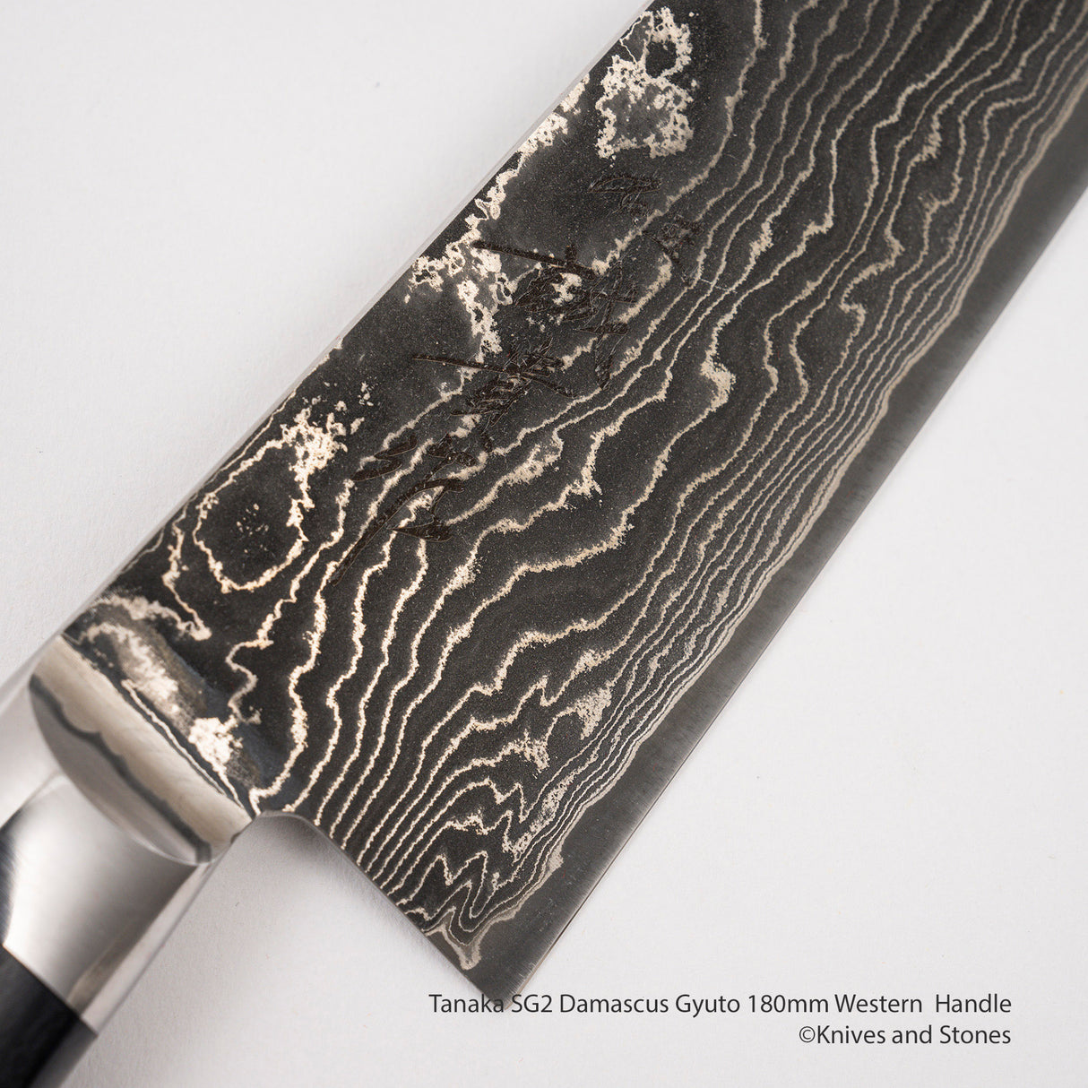 田中一之刃物製作所 SG2 ダマスカス 牛刀 180mm 洋柄