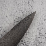 田中一之刃物製作所 羽斬り SG2 ダマスカス 筋引 210mm
